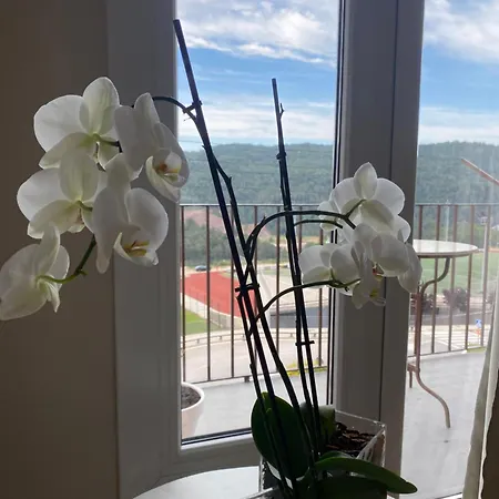 Apartment La Rotonda Cardona